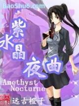 紫水晶夜曲
