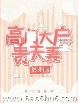 高门大户贵夫妻(全集)