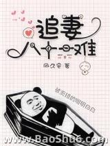 追妻八十一难